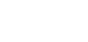 logo-white-daviddavid